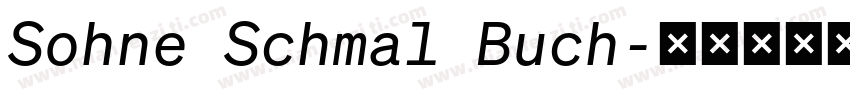 Sohne Schmal Buch字体转换